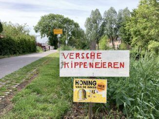 Versche eieren Broca Media