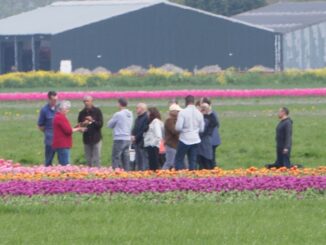 Barack Obama Broca Media.nl